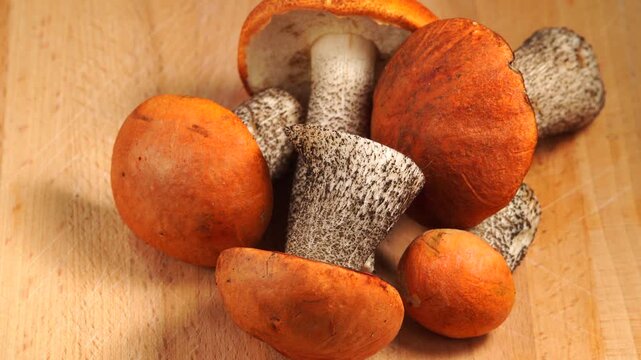 Fresh aspen mushrooms on light wooden surface, slowly rotating.