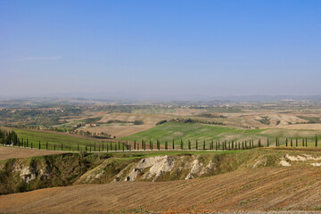 Obraz premium Panoramic autumn countryside with cypress road near Asciano in Tuscany, Italy