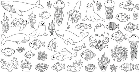 Obraz premium A collection of various sea creatures and marine life