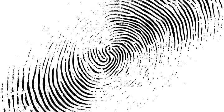 A detailed black and white image of a human fingerprint pattern, used for biometric identification.
