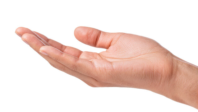 Isolated human hand outstretched offering something, showing palm, skin texture and detail