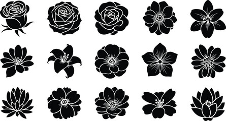 Black and white floral silhouettes on white background flowers 1 © Graphic Shops