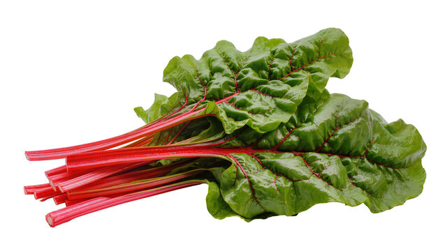 Isolated bunch of fresh organic ruby red chard leafy greens, vibrant and nutritious, ready for cooking