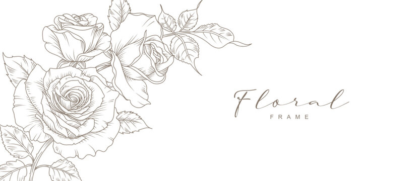 Luxury background with a hand drawn floral pattern of roses. Vector design with a bouquet of flowers, branches, leaves for card, business card, flyer, banner, wedding invitation, cover, wallpaper