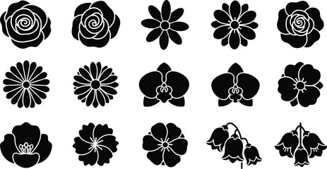 Black and white floral with various flower types flowers silhouettes © Graphic Shops