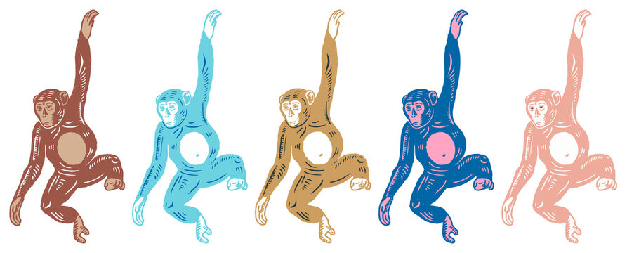 Colorful swinging monkey illustrations element set