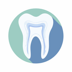 Anatomy of a tooth inside a blue and green circle illustration