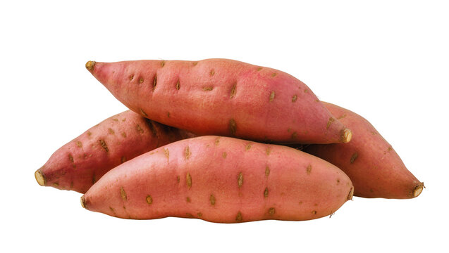 Isolated Pile of Sweet Potatoes, uncooked yams for commercial food or cooking product usage