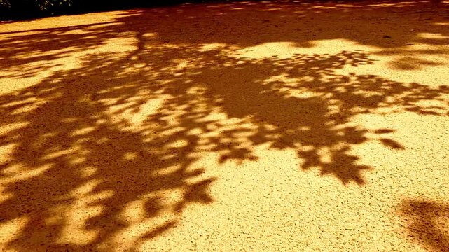 AI Generated Tropical Leaf Shadow Pattern On Warm Sand Natural Sunlight Background