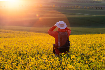 Fototapeta premium Gorgeous rural landscape with green sunny spring hills. South Moravia region, Czech Republic