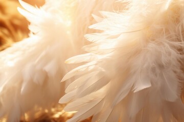 Naklejka premium White angelic feathers creating a soft, ethereal texture and tranquil mood