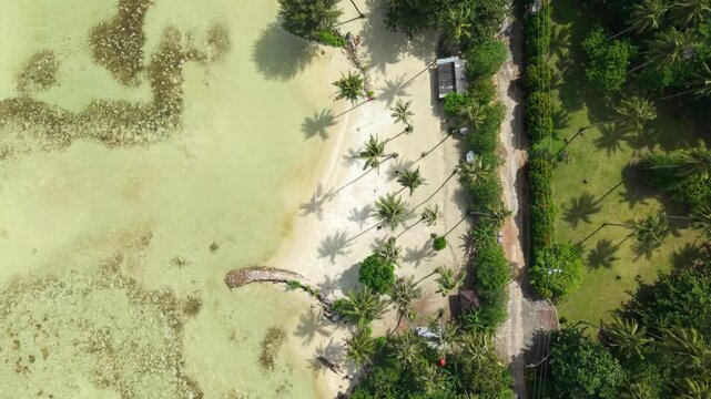 Aerial view of Bobby Beach showcasing the contrast between the turquoise waters and lush green forest, Karimunjawa, Central Java, Indonesia.