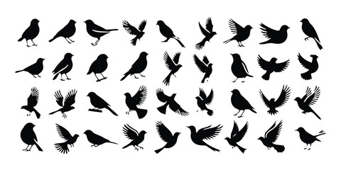 Group of diverse black bird silhouettes in various flying and perching poses isolated on white © GiftBosx