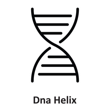 DNA Helix  Vector icon which can easily modify or edit