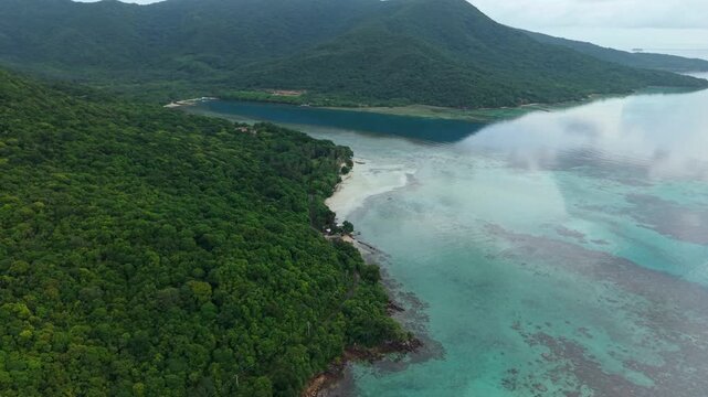 Aerial view of the vibrant Bobby Beach coastline meeting the turquoise sea, with lush green forest cascading down to the white sandy shore, Karimunjawa, Central Java, Indonesia.