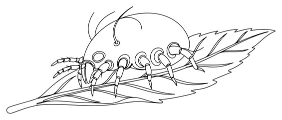 Dust mite or microscopic insect on a leaf, continuous one line drawing vector, allergy and pest control concept, tiny bug parasite © ----WWWLINE----