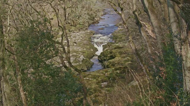 High angle view looking down through trees to The Strid, a dangerous stretch of the River Wharfe, Bolton Abbey Estate, North Yorkshire,UK 100fps, 4k, canonC70