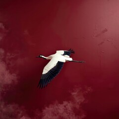 Fototapeta premium White crane soars against deep crimson sky
