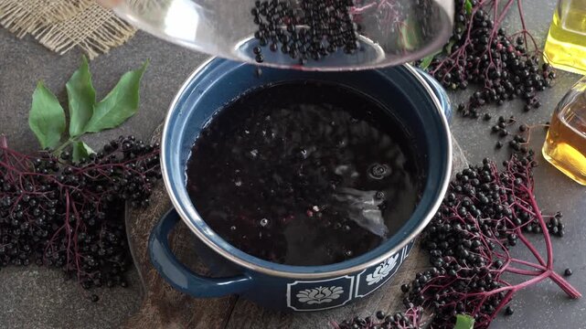 Putting fresh wild black elder berries into an enamel pot - preparation of homemade herbal syrup