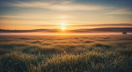 serene landscape of a grassy field during sunrise or sunset with fog and a vibrant colorful sky with