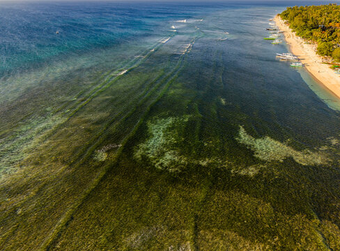 Tropical island coastline featuring shallow coral reef flats, sandy beach, and clear sea