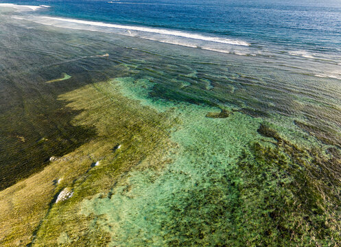 High angle view of turquoise ocean water over a vibrant fringing coral reef plate