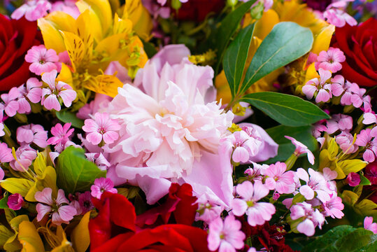 Colorful mixed flower bouquet, exquisite garden and wildflowers, still life detail