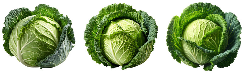 Fototapeta premium Three vibrant fresh whole green cabbages with textured crinkly outer leaves isolated on transparent background. PNG die-cut for advertising