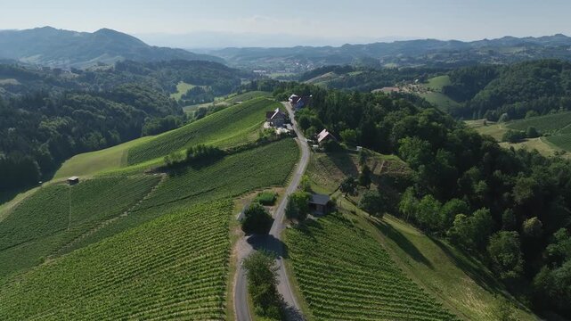 Aerial footage shows winding roads crossing Styria vineyards on steep hills, warm sunset colors shaping soft curves of land, peaceful movement, quiet atmosphere of summer wine region.
