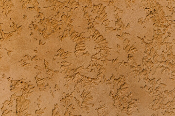 Mur en crépi beige © Concept Photo Studio