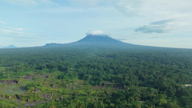 Aerial view of a lush green forest leading to a majestic mount merapi peak under a cloudy sky, a verdant panorama at Kali Woro, Klaten, Jawa Tengah, Indonesia.