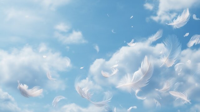 青空に舞う白い羽根の幻想的な光景。自然や癒しをテーマにした背景素材