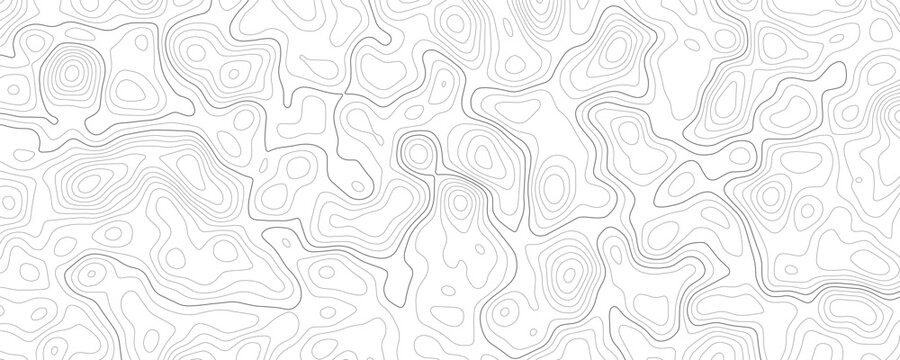 Seamless topographic map with contour lines on a transparent background, abstract relief grid vector illustration