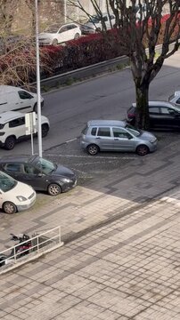 Cars on the road