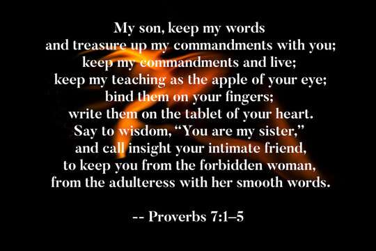 Proverbs 7 1-5