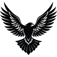 Fototapeta premium Black bird silhouette on with wings spread wide