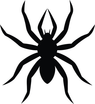 Sun spider silhouette vector art illustration and minimal black and white design
