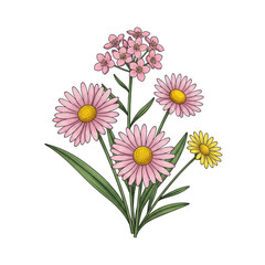 Fototapeta premium A bouquet of colorful wildflowers with pink and yellow blooms and green stems isolated on transparent background