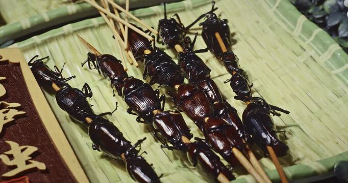 Chengdu, Sichuan, China. Fried Bugs. Cooked Insects Thread On Skewers Various Cooked Insects Thread On Skewers. Crispy Insects Popular Sichuan Snack Cheap High Protein Street Food Low Fat. Cooked Bugs