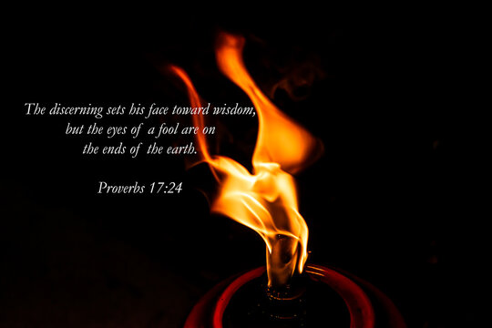 Proverbs 17 24