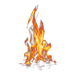 PNG Vivid flames on black background.