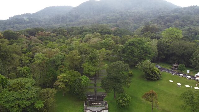 Aerial drone hovering above lush tropical tree canopy at Bali Botanic Garden in Bedugul, Indonesia.