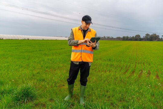 Agronomist using tablet to inspect crops in agricultural field