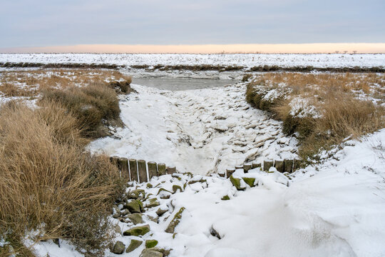snow-covered landscape at Langwarder Groden during winter 2026