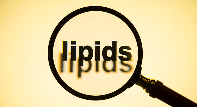 A magnifying glass examines the word lipids closely up.