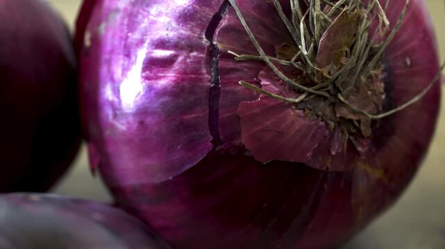 Allium cepa Red Mars: Close-up details of purple papery skin and the dried root base.