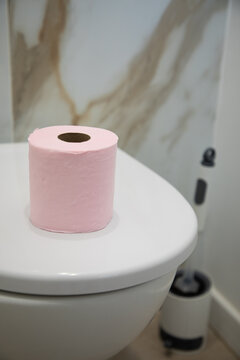 toilet bowl and toilet paper