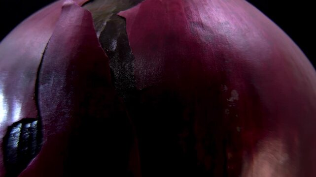 Red Mars Onion (Allium cepa) Extreme Macro 360 Degree Rotation.