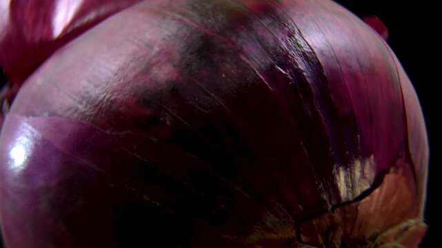Red onion macro rotation on a black background. Detailed botanical study of the Allium cepa bulb anatomy