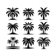 Fototapeta premium Artistic Black and White Palm Tree Collection